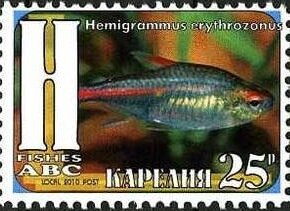 Fishes