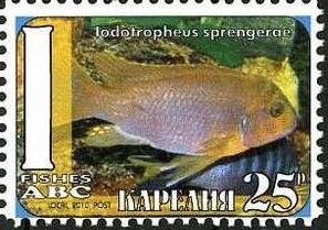 Stamp, Fishes, Cinderellas,  , Animals (Fauna), Fishes