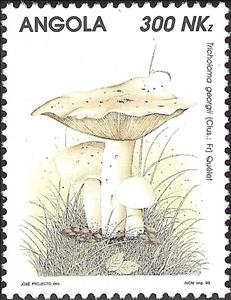 Stamp, Mushrooms, Angola,  , Mushrooms