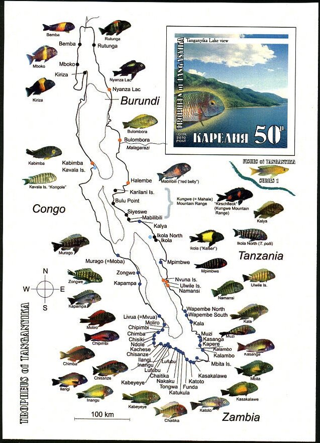 Fishes