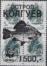Fishes WWF