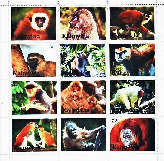 Monkeys