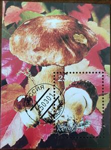 Souvenir Sheet, Mushrooms, Cinderellas,  , Mushrooms