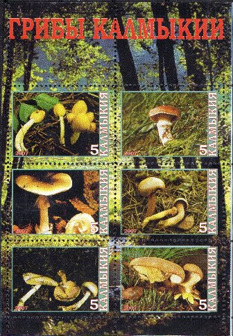 Mushrooms