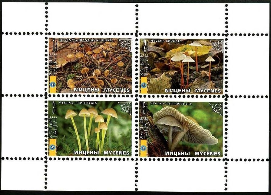 Mushrooms