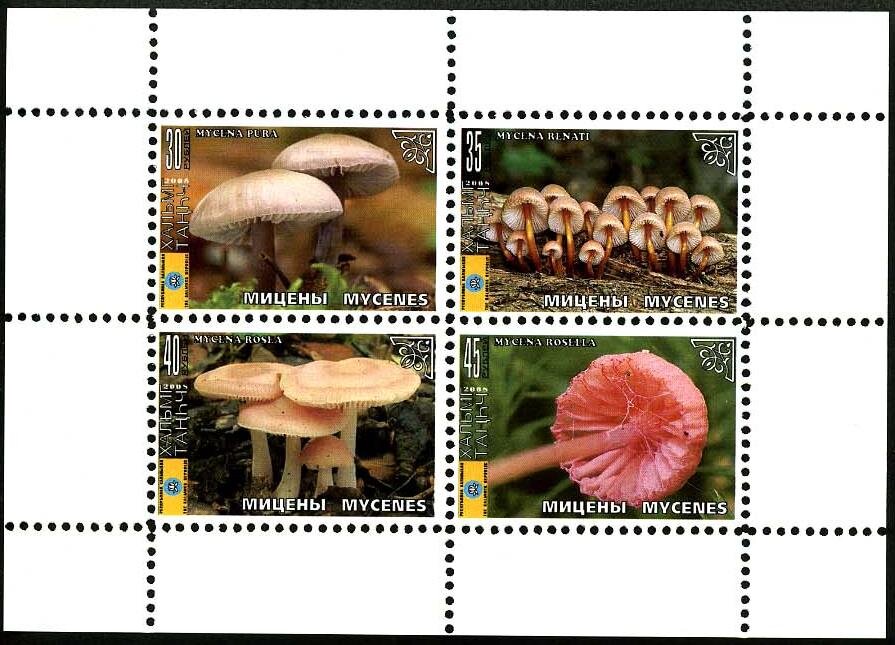 Mushrooms