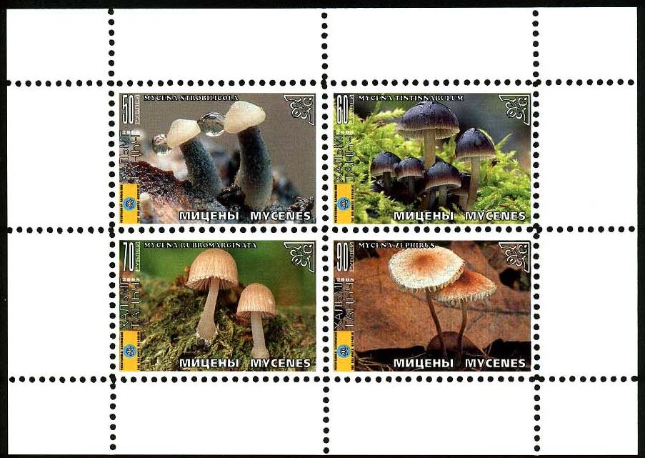 Mushrooms