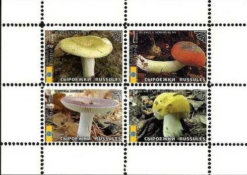 Mushrooms