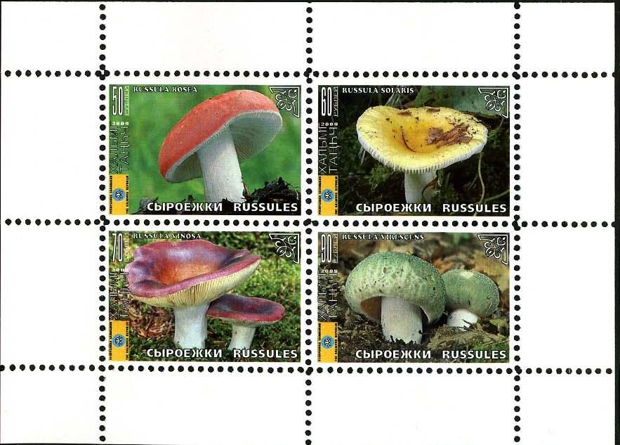 Mushrooms