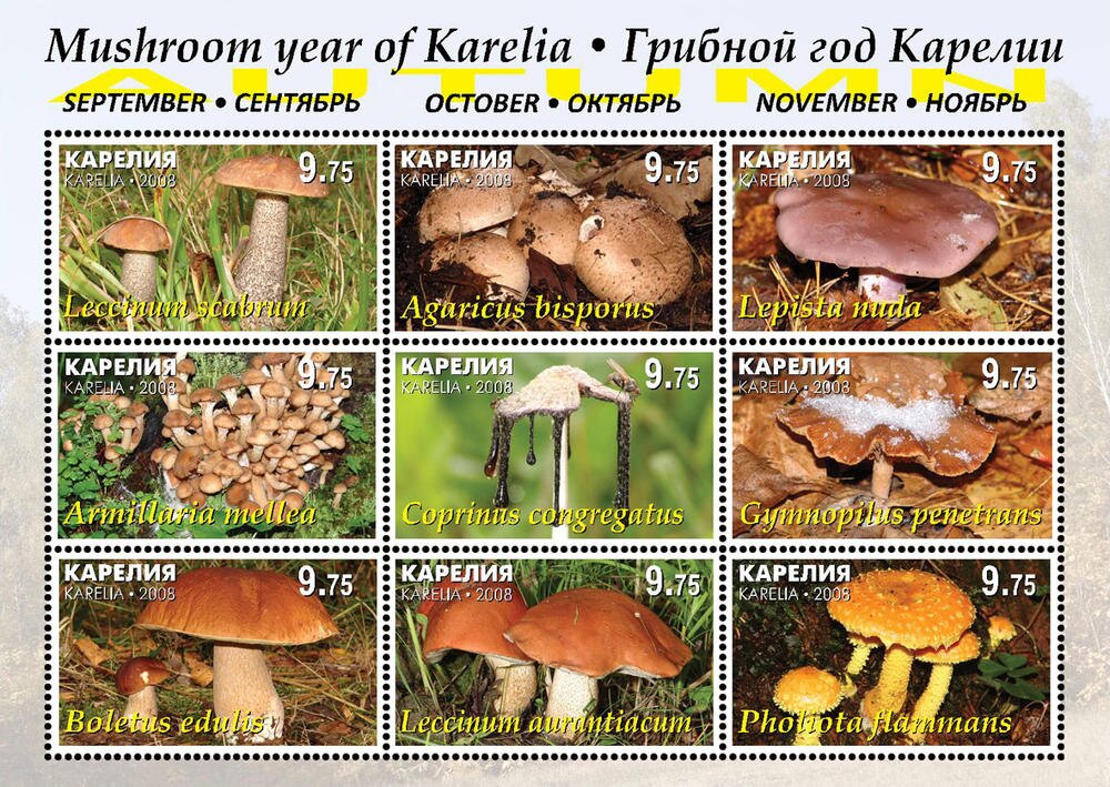 Mushrooms