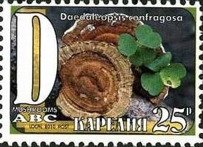 Stamp, Mushrooms, Cinderellas,  , Mushrooms