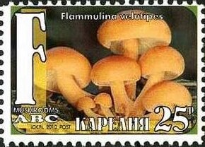 Mushrooms
