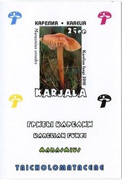Souvenir Sheet, Mushrooms, Cinderellas,  , Mushrooms