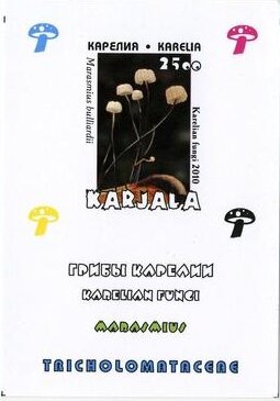Mushrooms