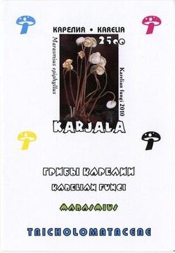 Souvenir Sheet, Mushrooms, Cinderellas,  , Mushrooms