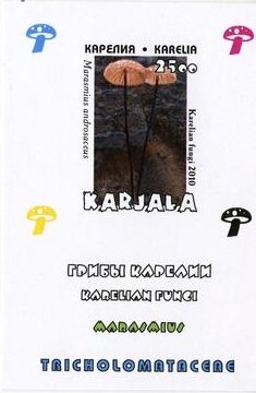 Souvenir Sheet, Mushrooms, Cinderellas,  , Mushrooms