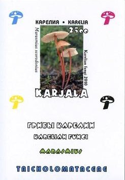 Mushrooms