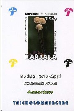 Souvenir Sheet, Mushrooms, Cinderellas,  , Mushrooms