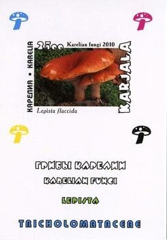 Mushrooms