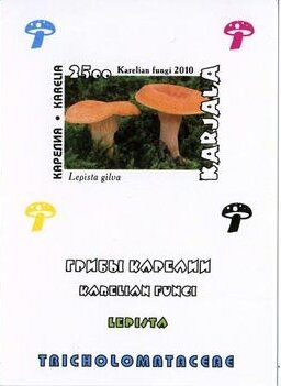 Souvenir Sheet, Mushrooms, Cinderellas,  , Mushrooms
