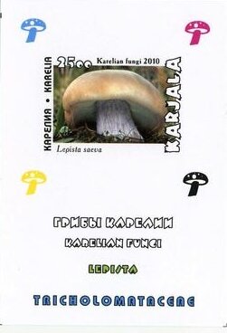 Souvenir Sheet, Mushrooms, Cinderellas,  , Mushrooms