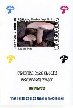 Mushrooms