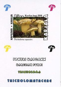 Mushrooms