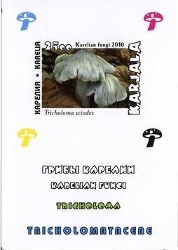 Mushrooms
