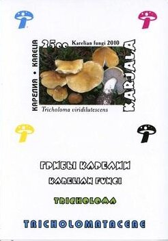 Souvenir Sheet, Mushrooms, Cinderellas,  , Mushrooms