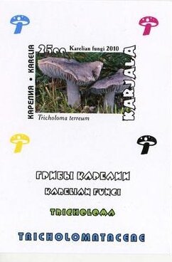 Souvenir Sheet, Mushrooms, Cinderellas,  , Mushrooms