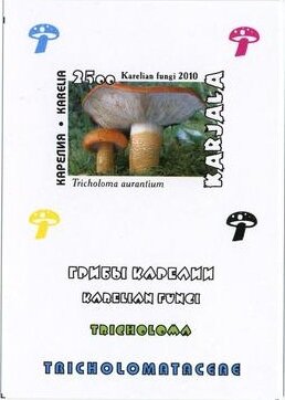 Mushrooms