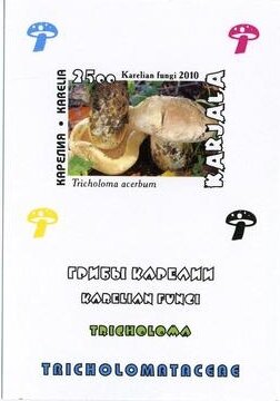 Souvenir Sheet, Mushrooms, Cinderellas,  , Mushrooms