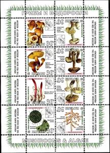Mini Sheet, Mushrooms, Cinderellas,  , Mushrooms