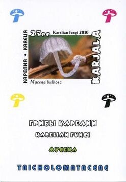 Souvenir Sheet, Mushrooms, Cinderellas,  , Mushrooms
