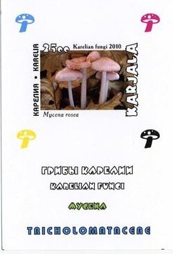 Mushrooms