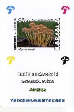 Mushrooms