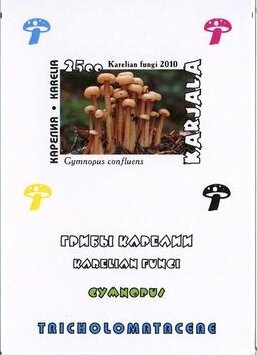 Mushrooms