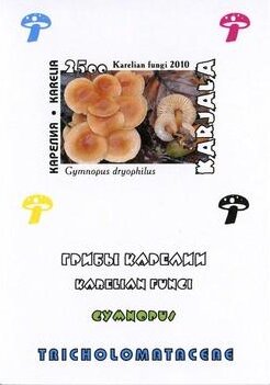 Mushrooms