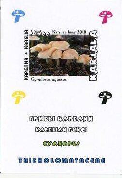 Souvenir Sheet, Mushrooms, Cinderellas,  , Mushrooms