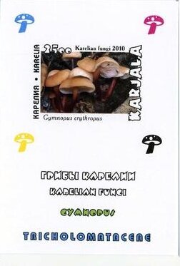 Souvenir Sheet, Mushrooms, Cinderellas,  , Mushrooms