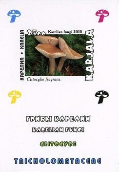 Souvenir Sheet, Mushrooms, Cinderellas,  , Mushrooms