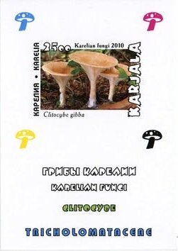 Souvenir Sheet, Mushrooms, Cinderellas,  , Mushrooms