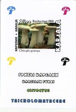 Souvenir Sheet, Mushrooms, Cinderellas,  , Mushrooms