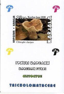 Mushrooms