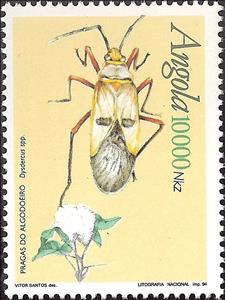 Stamp, Cotton Stainer (Dysdercus sp.), Angola,  , Insects, Beetles, Animals (Fauna)
