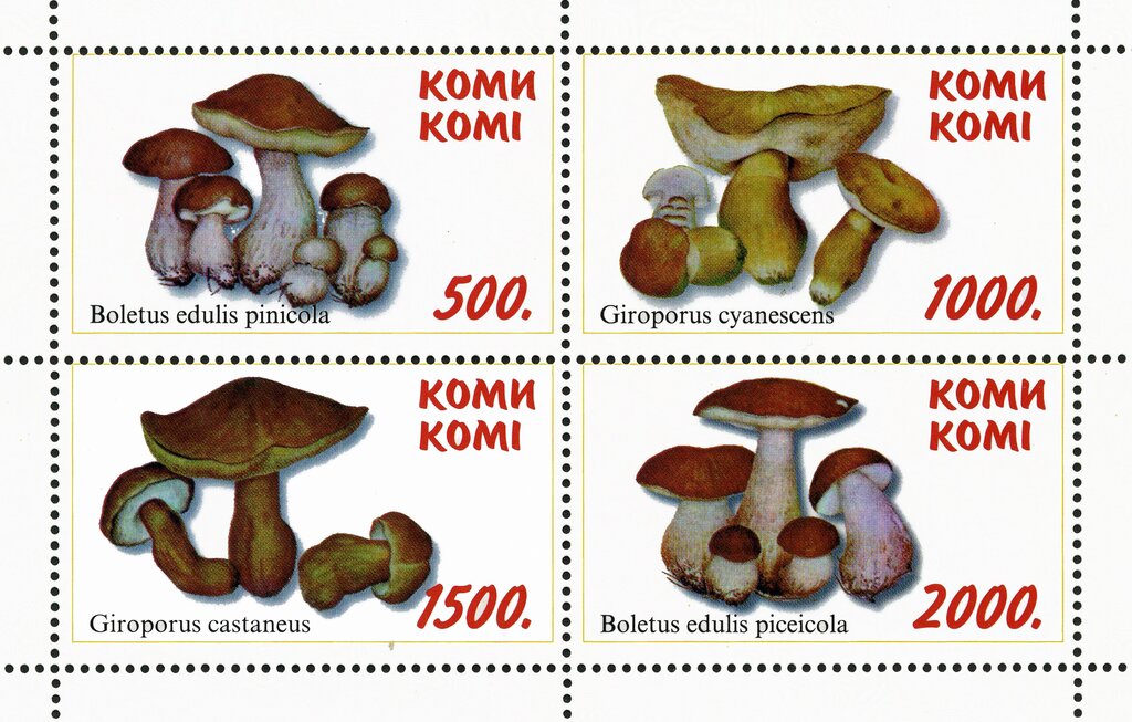 Mushrooms