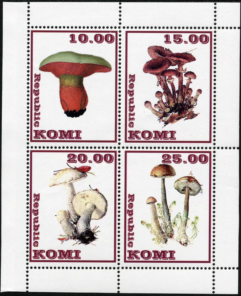 Mushrooms
