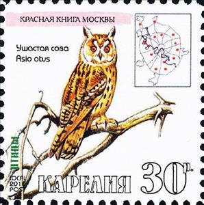 Stamp, Owl, Cinderellas,  , Animals (Fauna), Birds, Owls