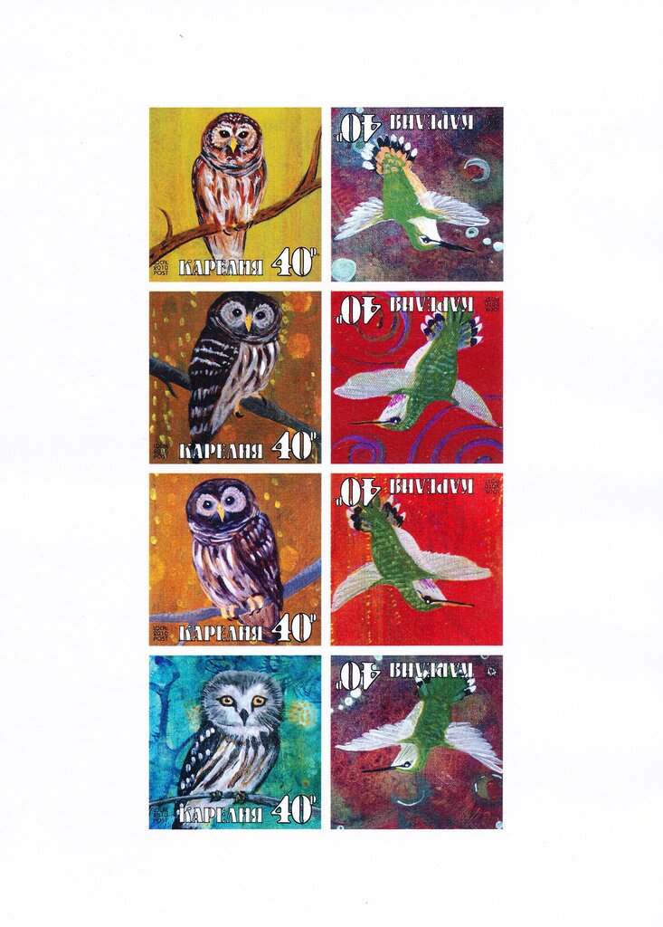 Owl