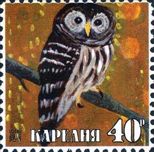 Stamp, Owl, Cinderellas,  , Animals (Fauna), Birds
